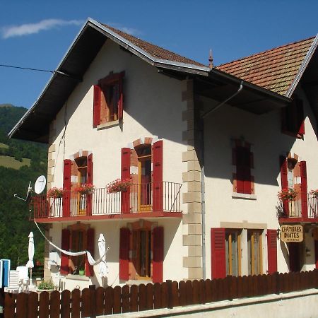 Bed and Breakfast L'Horizon Des Alpes Le Petit-Bornand-les-Glieres Esterno foto